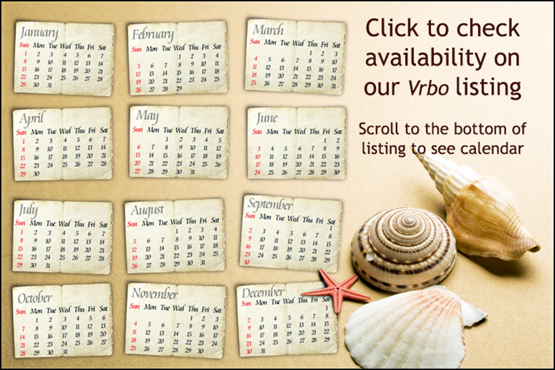 Our calendar with sea shells