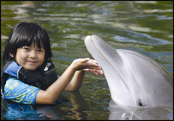 Young Child Plays with a Dolphin